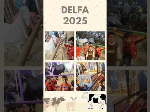 Delfa 2025 Education Effectivelanguagelearning Delfa2 Fyp Viralreels Fun Meer Cow Bakra