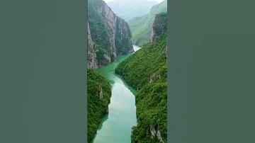 سورة الرحمن معاذ سيد 