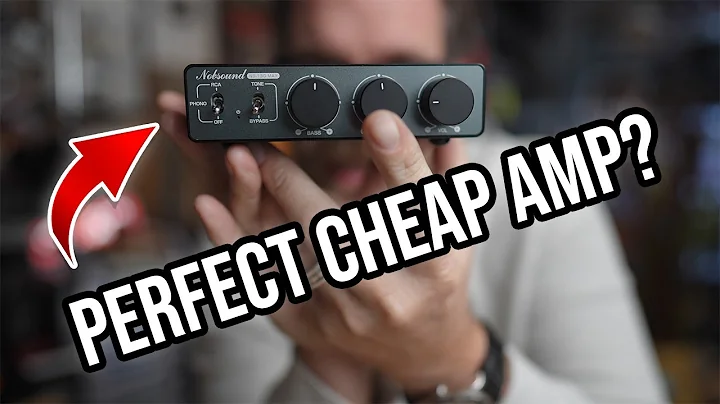 YES! Perfect CHEAP Amp for Analog Awesomeness!