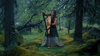 Mama Nature - Vottovaara - shamanic trance music, crystalophone, bansuri, celtic harp, drums, esraj