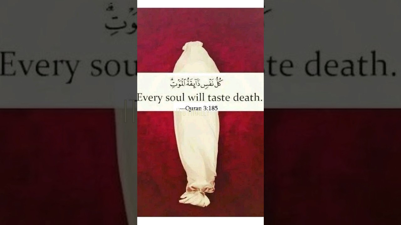 Islamic qoutes on Death - A UNIVERSAL REMINDER - #viralshort #qouteoftheday