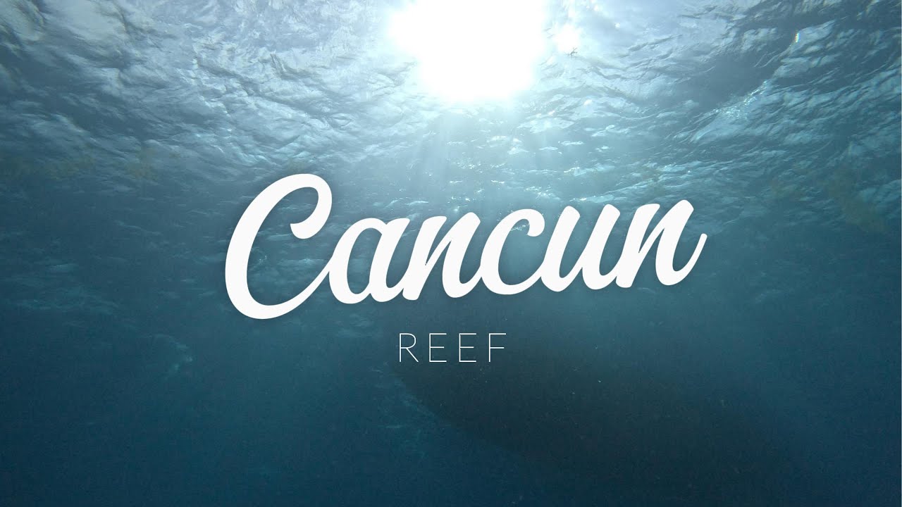 Scuba diving Cancun Reef next to Isla Mujeres