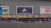 Popular Videos Arashi Live Tour 15 Japonism Youtube