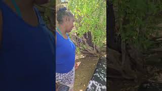 Fort Granby And The Mystery Tombstone Tobago