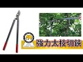 FG強力太枝切鋏