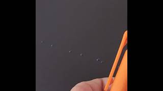 水鉄砲はペンより強し？
