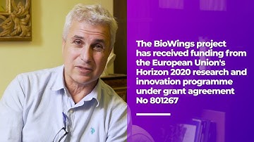 BioWings - the Project Overview