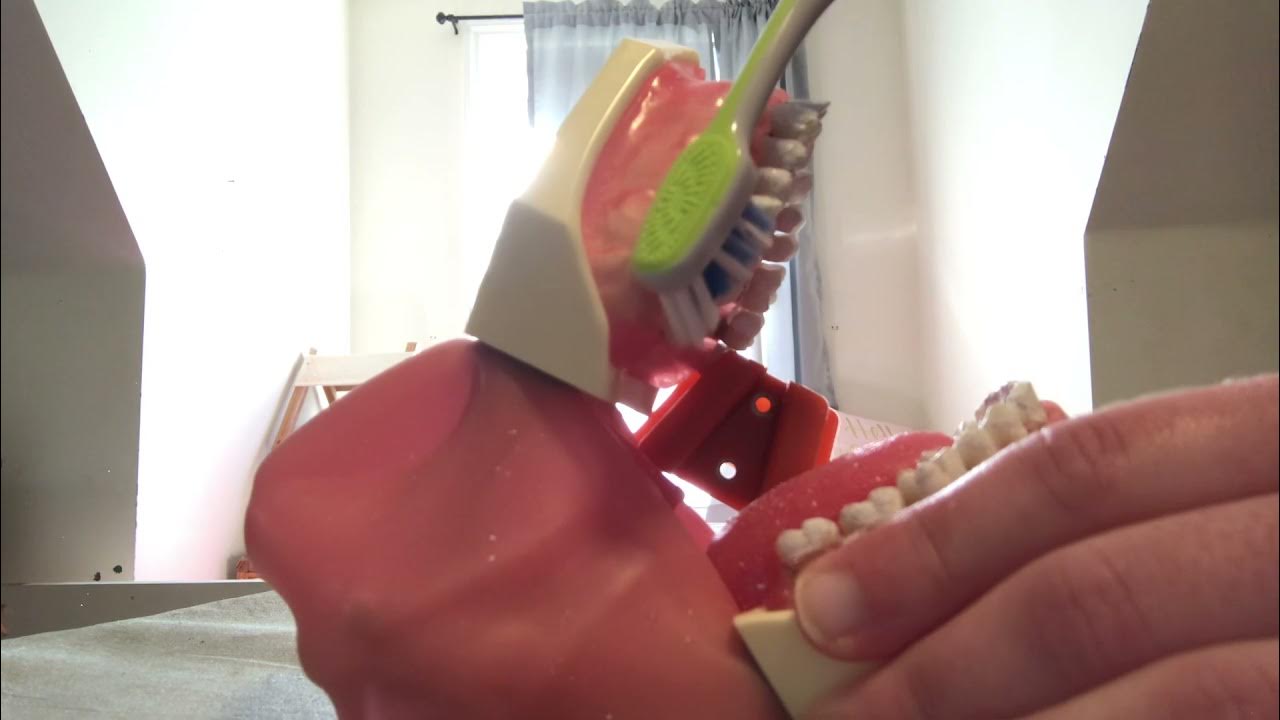 Charters Brushing Method YouTube