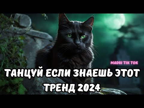 💗ТАНЦУЙ ЕСЛИ ЗНАЕШЬ ЭТОТ ТРЕНД 2024💗
