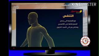 السنة الثانية علمية:  مظاهر التنفس