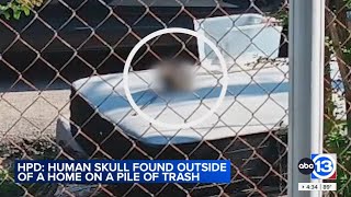 Skeletal remains found after homeless woman carrying skull leads police there, HPD says