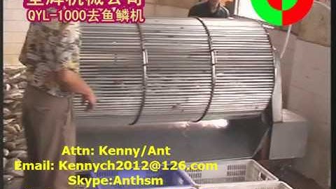 QYL-1000 big fish scaling peeling machine, scale removing machine