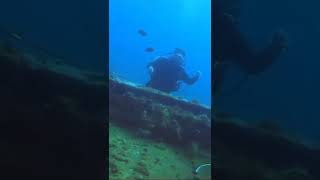 Diving At Poso Shipwreck, Seribu Islands, Jakarta, Indonesia
