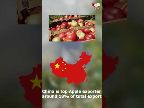Apple Production and