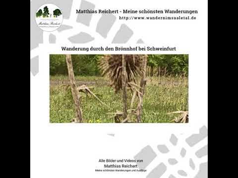 Meine schönsten Wanderungen Wanderung durch das Brönnhof Areal YouTube