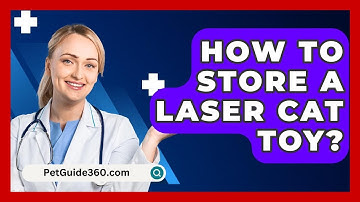 How To Store A Laser Cat Toy? - PetGuide360.com