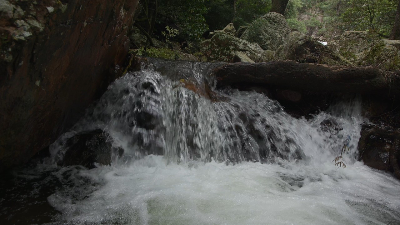 Relaxing Small Waterfall Pond Sounds | Natural Waterfall White Noise for Sleep & Stress Relief ASMR