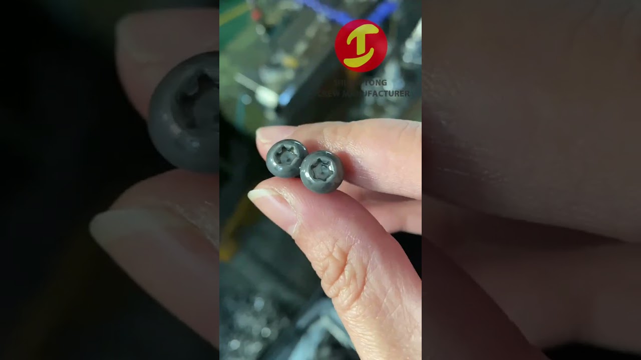 Stainless Steel ISO 7380 TX Torx Button Head Machine Screw