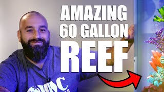 Joshs Sps Dominated 60 Gallon Reef Tank