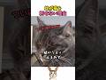 蚊が猫を刺せない理由