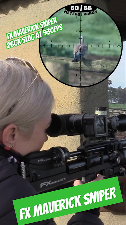 FX Maverick Sniper 22 Cal | 26gr slug at 930fps | Modern Airgun Power #fxairguns
