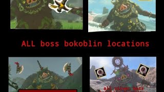 ALL boss bokoblin locations in tears of the kingdom (totk)