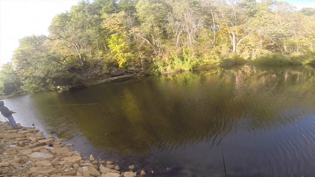 Illinois Catch and Release Trout Season Action YouTube