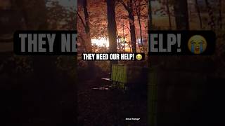 Please consider helping them! Link in description #fire #help #home #gofundme