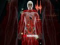 Why Your Heart Skips a Beat (Shocking Truth!)
