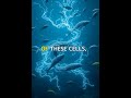 How Electric Eels Generate Shocks Instantly. #Shorts