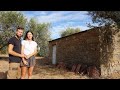 3 months off grid everything built homesteading  timelapse