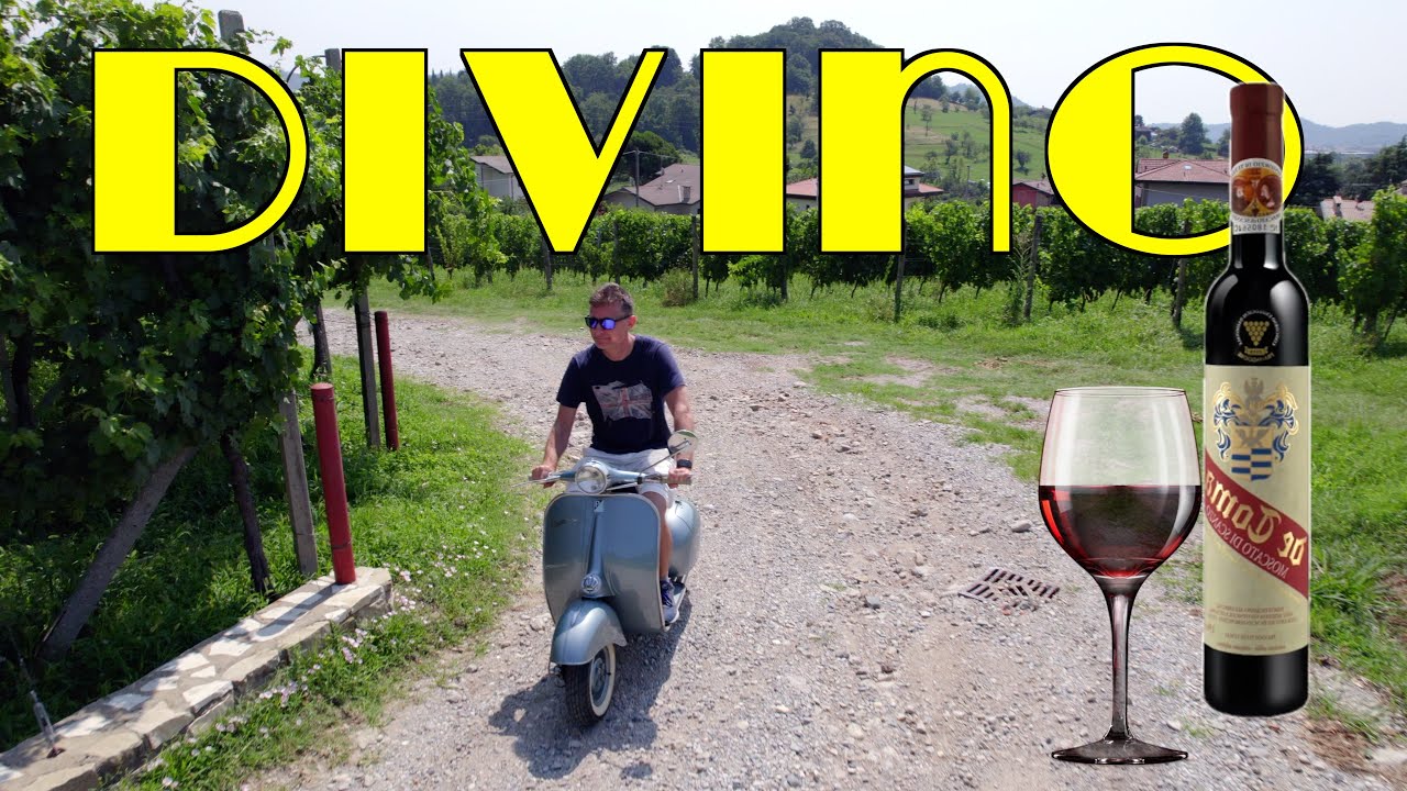 In volo tra le viti del Moscato di Scanzo