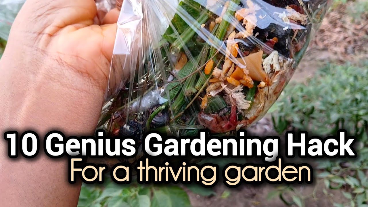 10 genius gardening hacks that kept my garden thriving in 2024 - YouTube