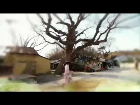 [Teaser] Can You Hear My Heart - Korean Drama 2011