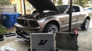 Making the mustang cool...