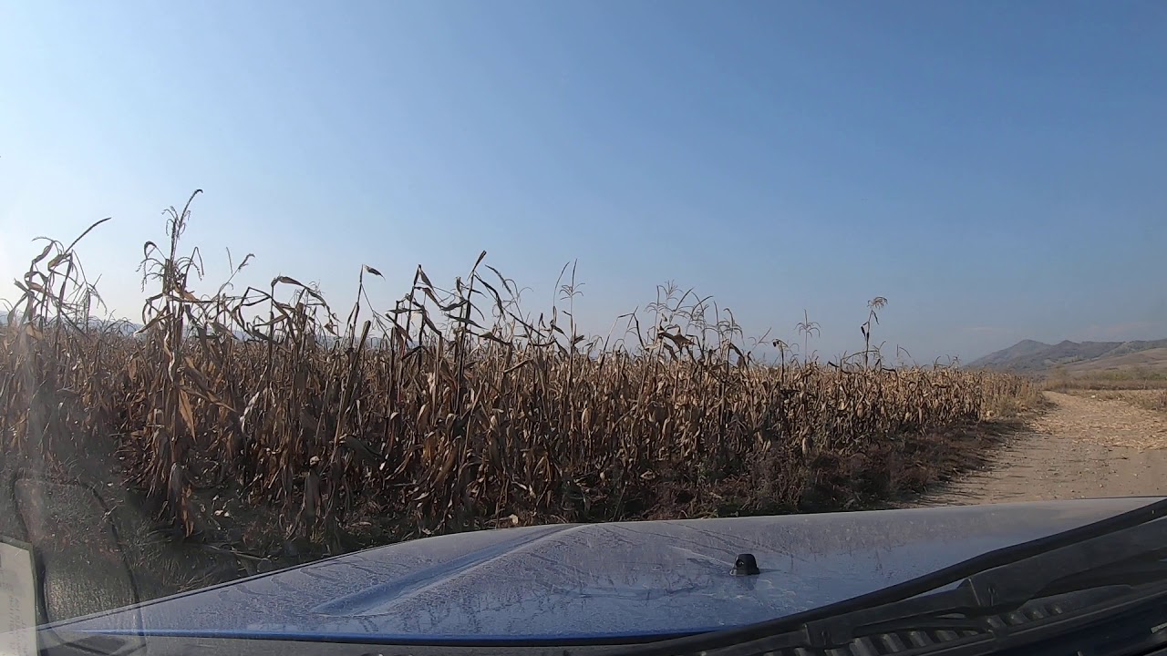 Drajna trip with Jimny, part 2