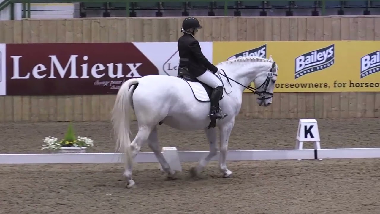 British Dressage Winter Nationals  Hartpury   Novice Freestyle