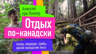 Как я провел отпуск или поход в канадском лесу /  Алексей из Канады