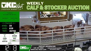 9/23/2025 - Calf & Stocker Auction - OKC West
