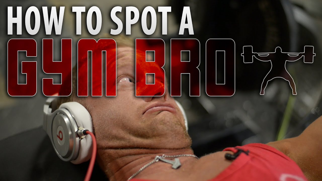 How to Spot a Gym Bro YouTube