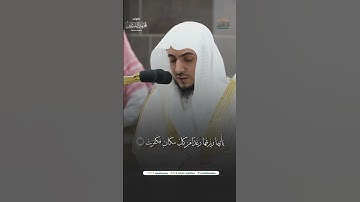 مقتطف من تلاوة فضيلة الشيخ د. #الوليد_الشمسان من صلاة الفجر 7 ربيع الآخر 1446هـ.