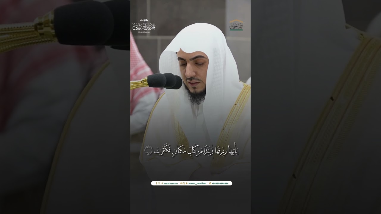 مقتطف من تلاوة فضيلة الشيخ د. #الوليد_الشمسان من صلاة الفجر 7 ربيع الآخر 1446هـ.