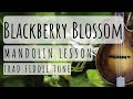 Blackberry Blossom: Mandolin Lesson