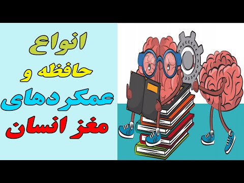 تصویری: حافظه اجتماعی: تعریف، ویژگی‌ها، مثال‌ها