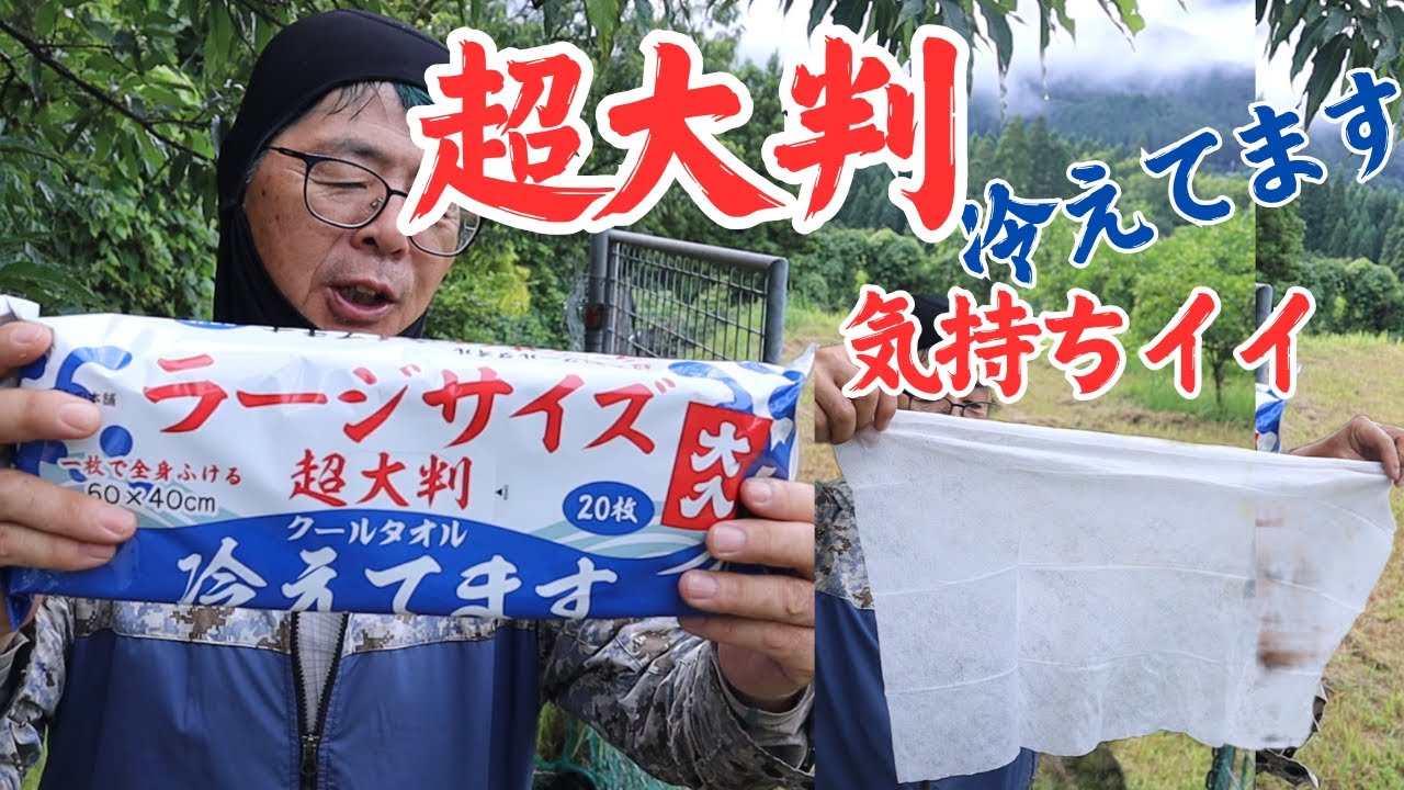 冷え冷えクールシート「超大判 ラージサイズ 冷えてます」最高に気持ち