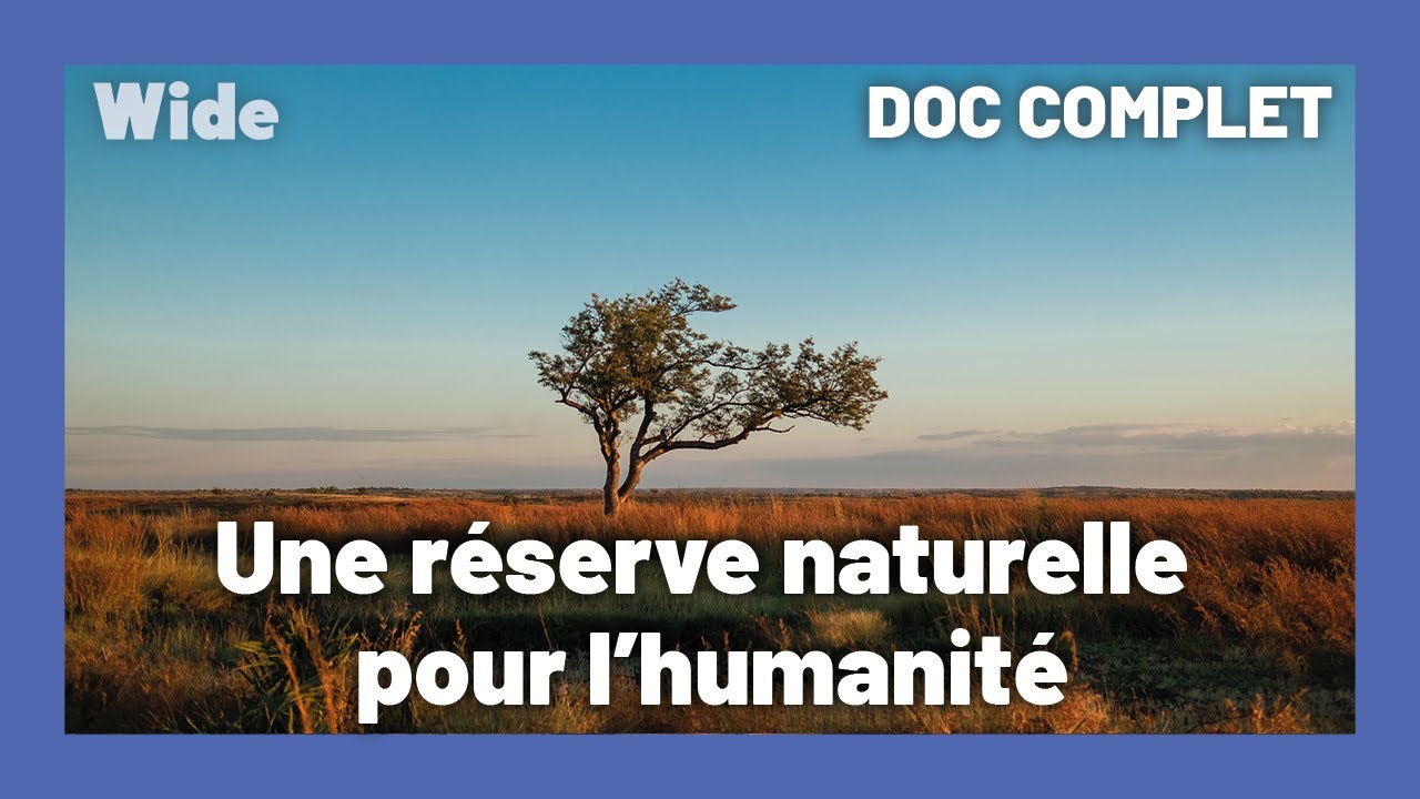 Madagascar : un SANCTUAIRE de vie sauvage I WIDE