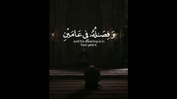 تلاوة هادئة تريح الأعصاب 😴🎧 | ما تيسر من سورة لقمان 🤍🌥️."