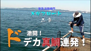 大真鯛大戦！ カゴ釣りの聖域 淡路島メガフロート　フカセ釣り　七転八釣　第二章