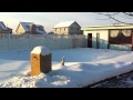 Кот Вася  в сугробе снега