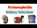 Pyelonephritis (Kidney Infection) | Causes, Pathophysiology, Signs & Symptoms, Diagnosis, Treatment